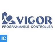 VIGOR (丰炜)